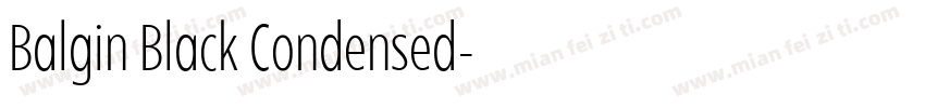Balgin Black Condensed字体转换